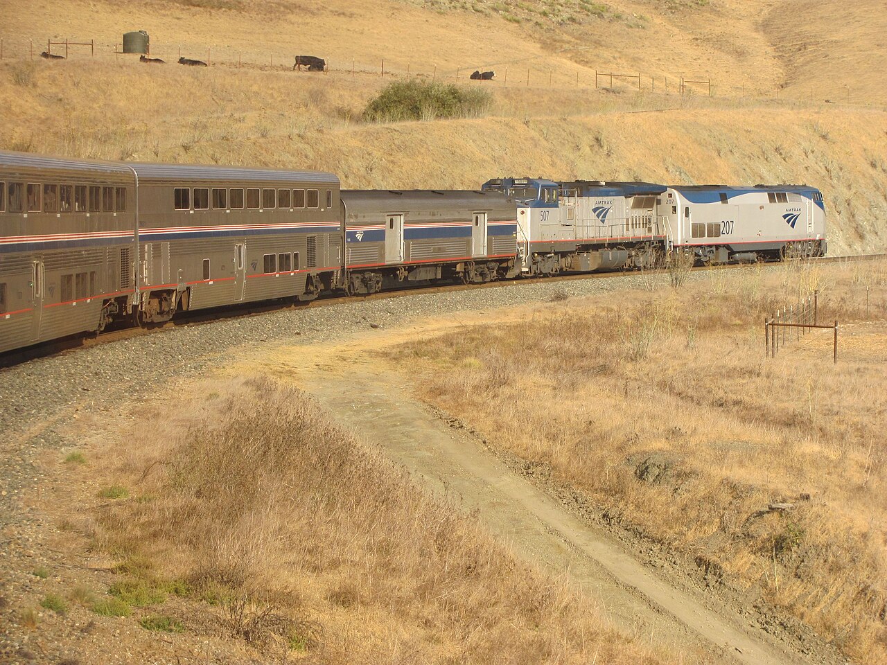 Amtrak Coast Starlight locomotive and double-deck passenger cars on a grassy hillside