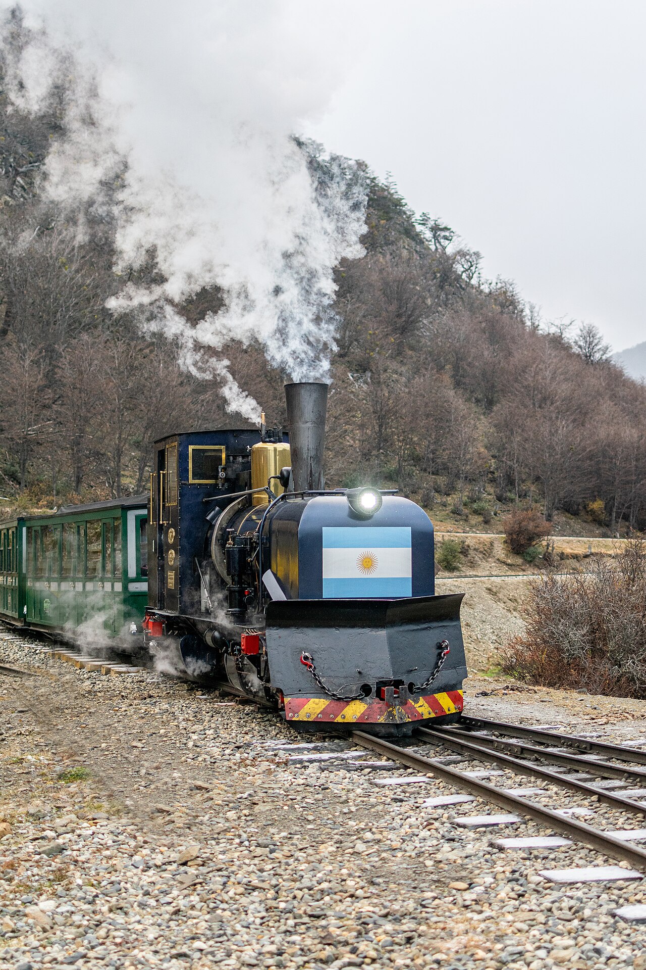 Blue-and-gold Porta steam locomotive with an Argentine flag and green passenger cars